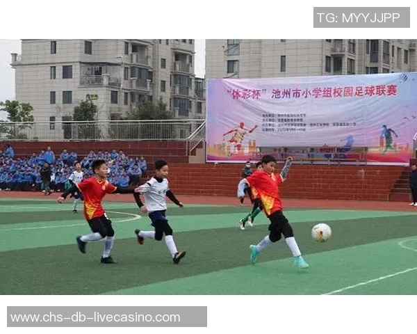 未来足球下载助力青少年成长开启足球梦想新篇章